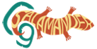 Brand-C G Salamander